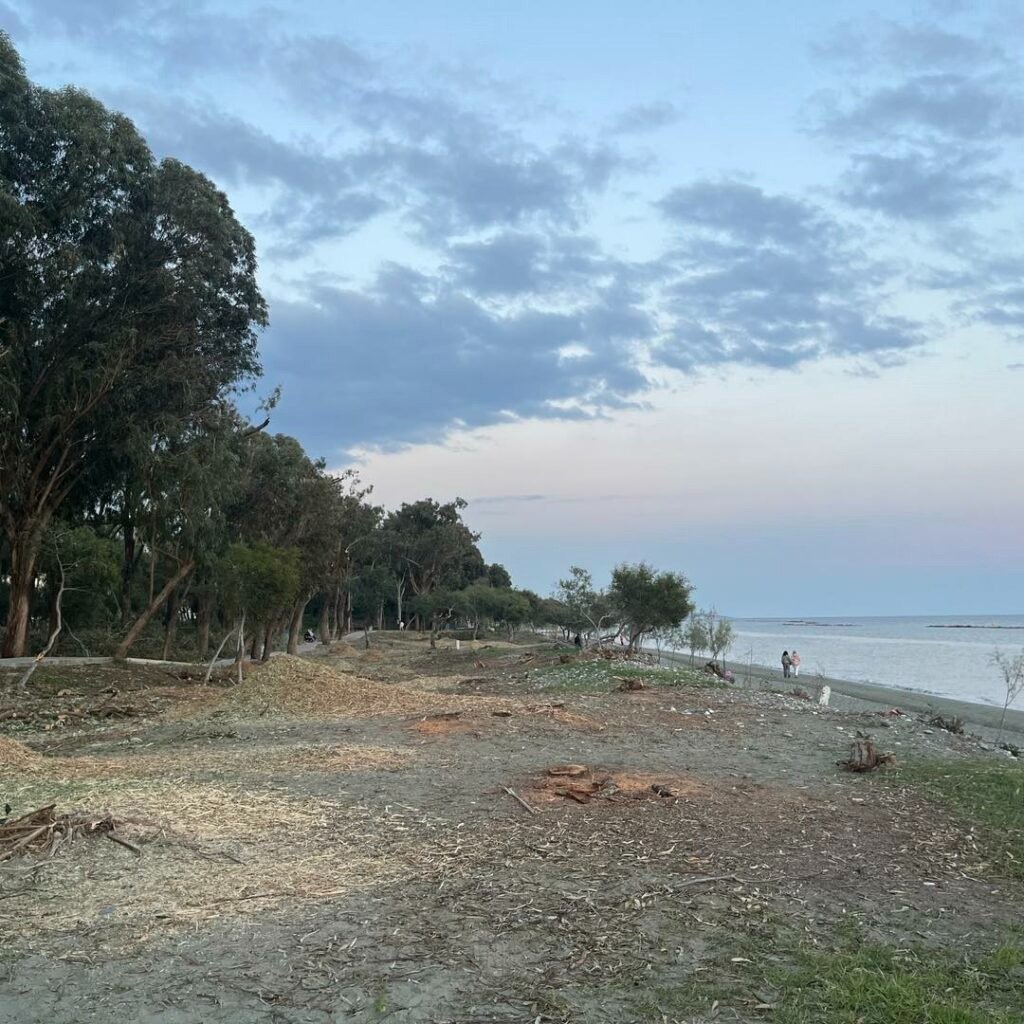 Elderly Swimmer Tragically Dies at Limassol Beach Before Lifeguards Arrive