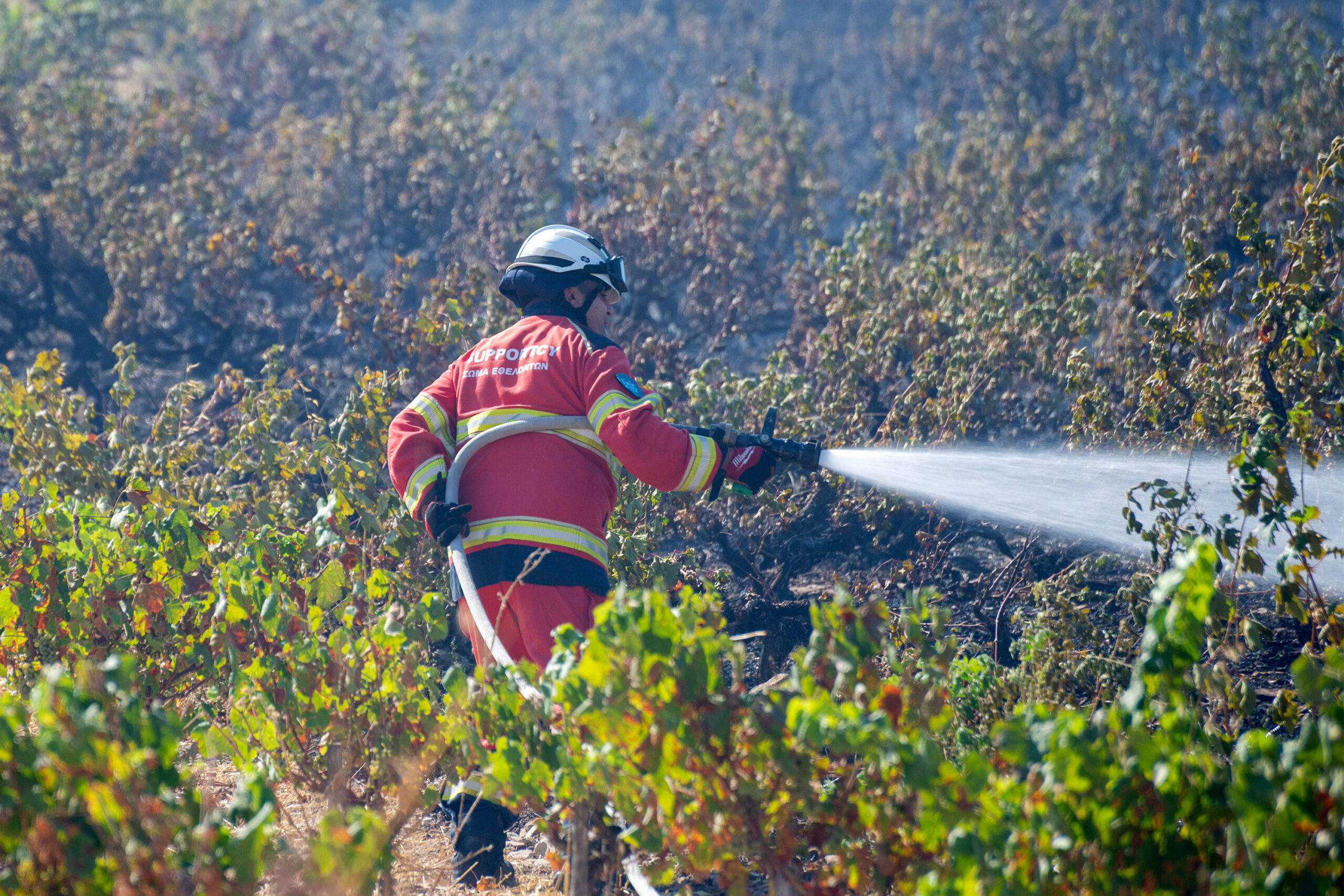Tepak farm — Tepak Farm Faces €80,000 Repairs After Wildfire Devastation