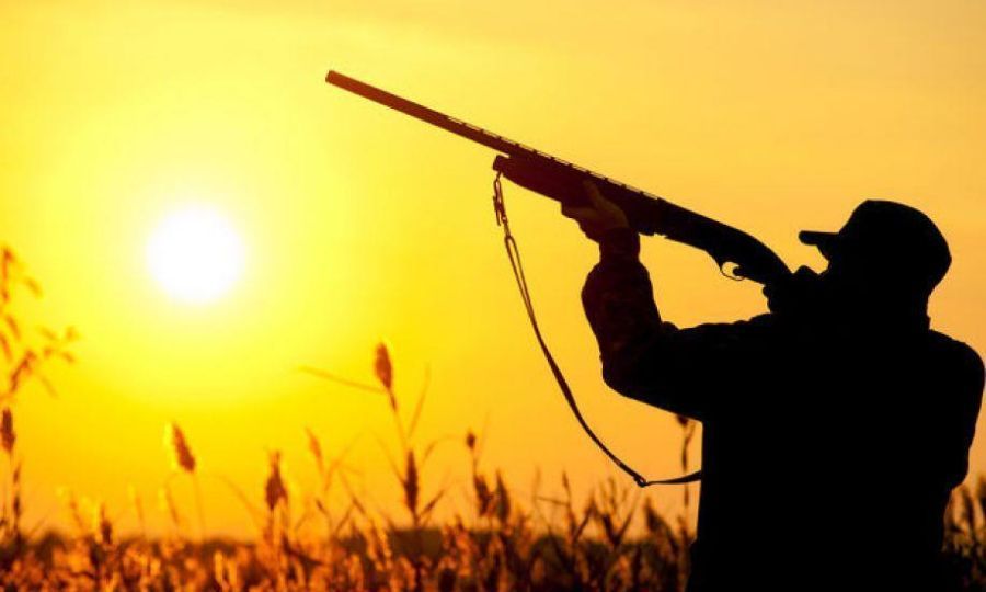 Man Injured by Shotgun Fire in Hunting Area