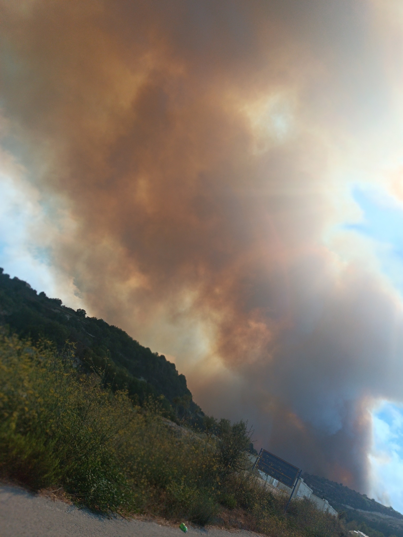 Paphos fire: Roads Closed in Paphos due to Fire in Tala Area