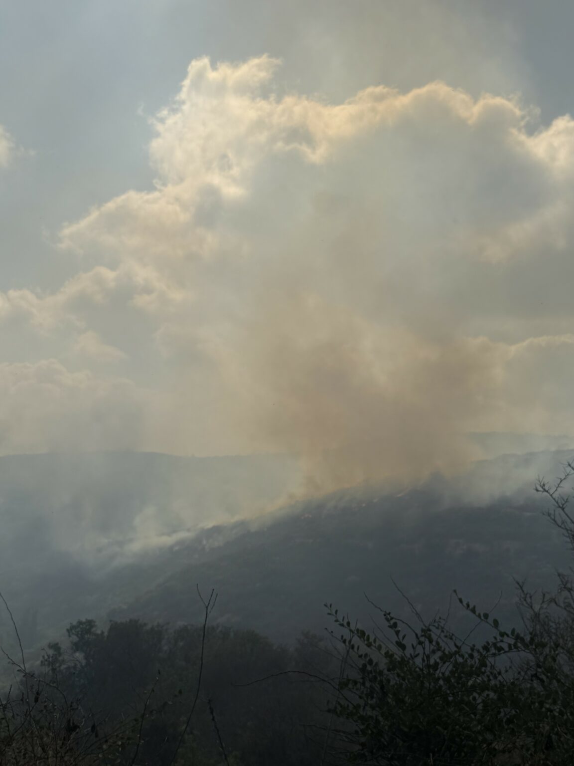 Tsada fire: Firefighters Contain Blaze Near Tsada, One Evacuated Amid Strong Winds