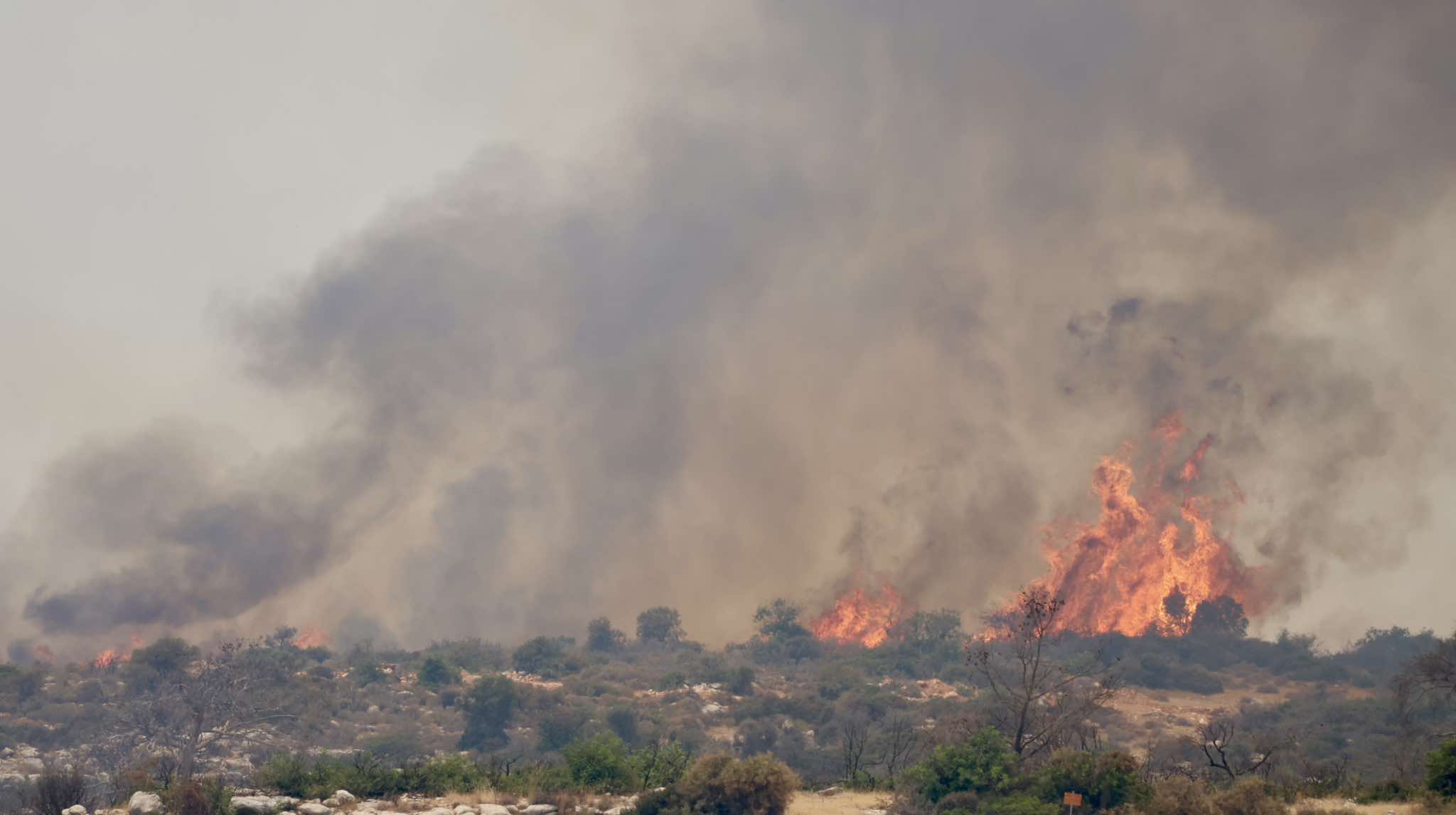 Paphos Village Blaze Controlled After Rapid Response