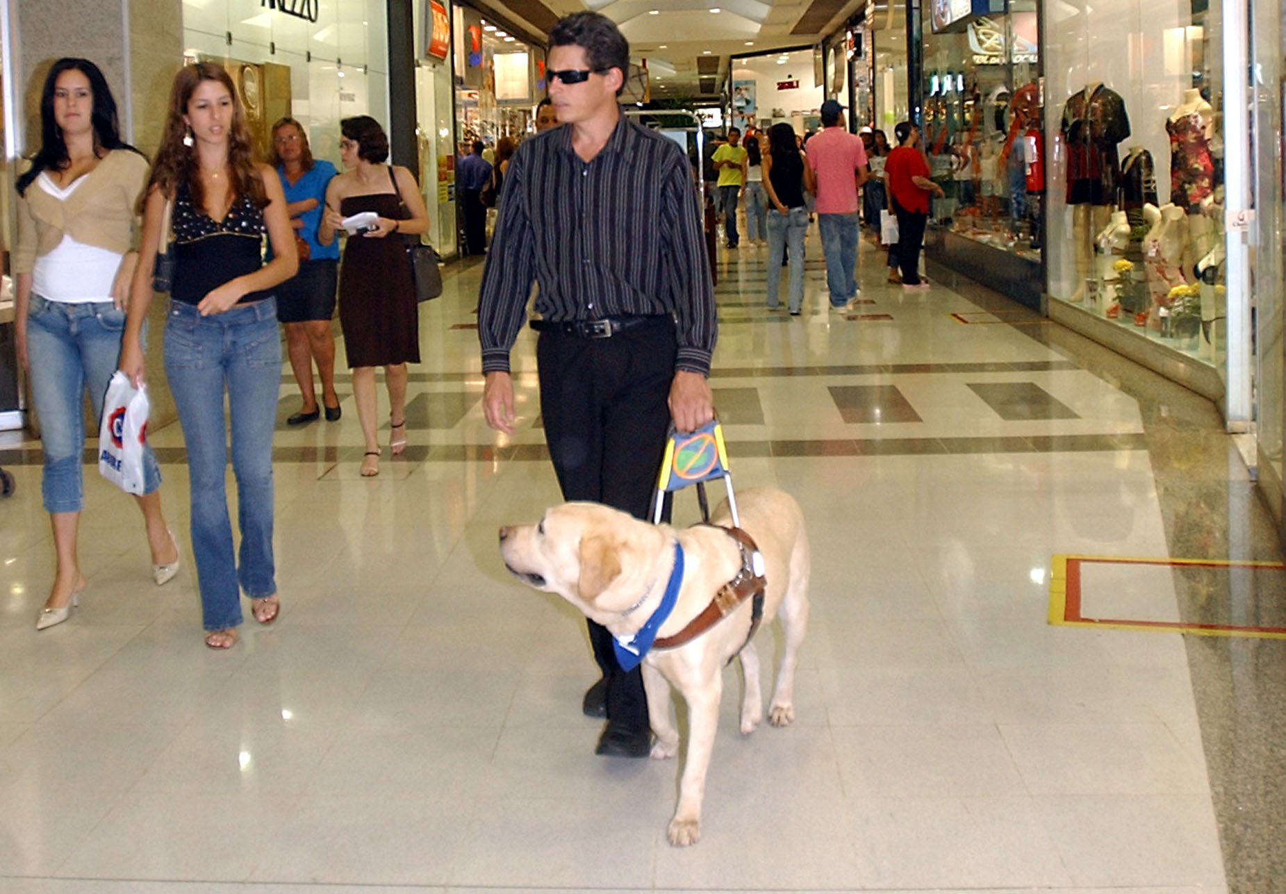 Assistance dogs — Cyprus Takes Steps to Ensure Legal Rights for Assistance Dogs