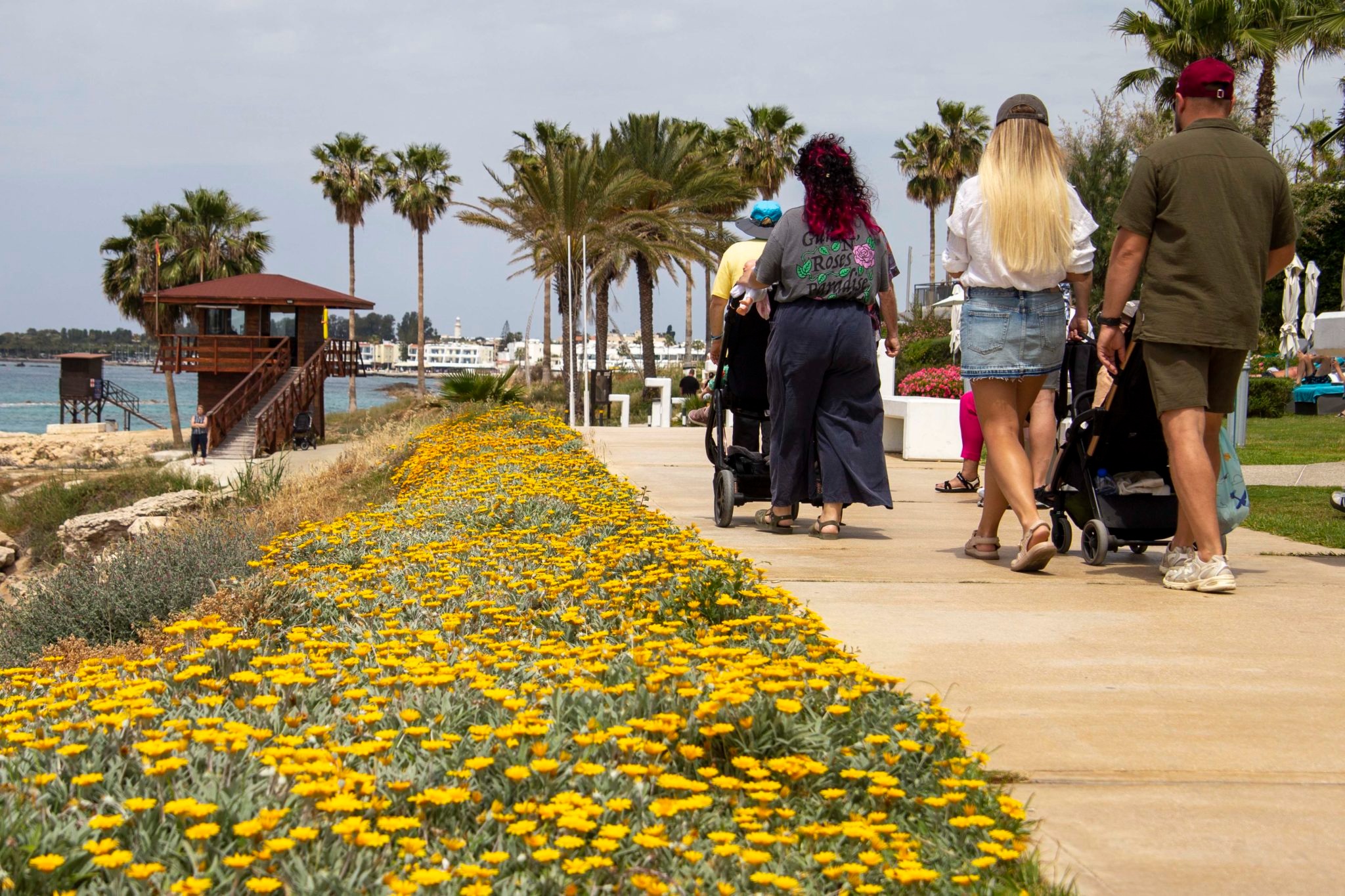 Dust and — Dust and Strong Winds Affect Cyprus While Temperatures Remain Warm
