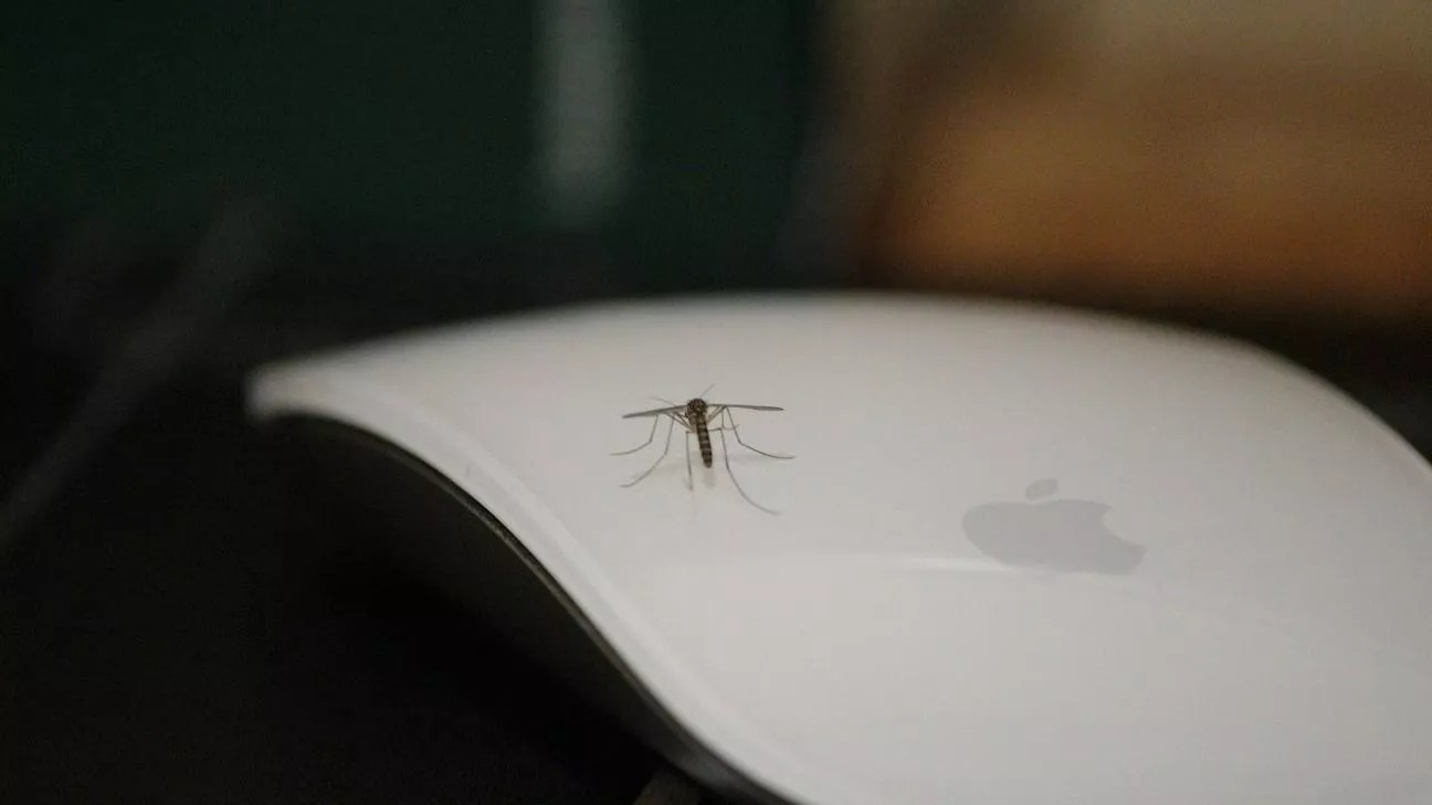 Larnaca Launches Door-to-Door Campaign to Tackle Mosquito Surge