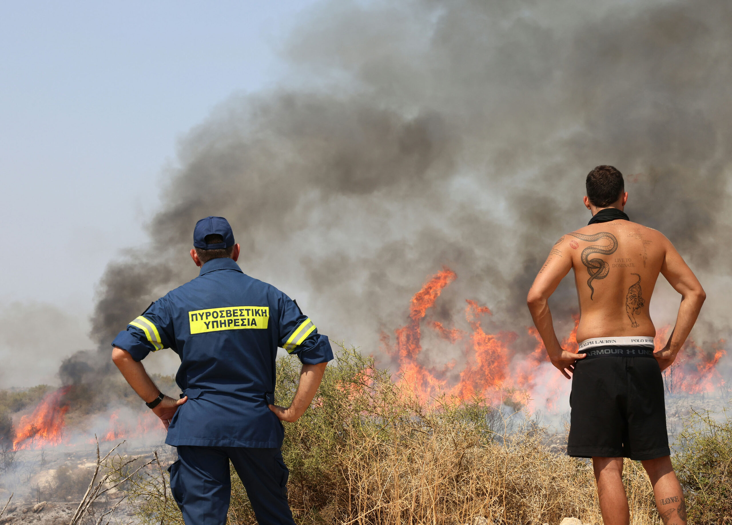 Cyprus wildfires: EU Allocates €2.3 Million for Cyprus Wildfire Recovery