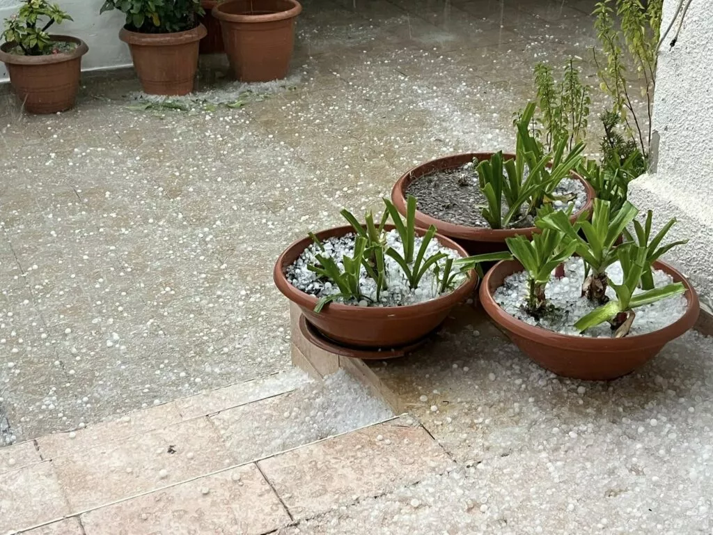 Torrential Rain and Hail Create Christmas Wonderland in Paphos