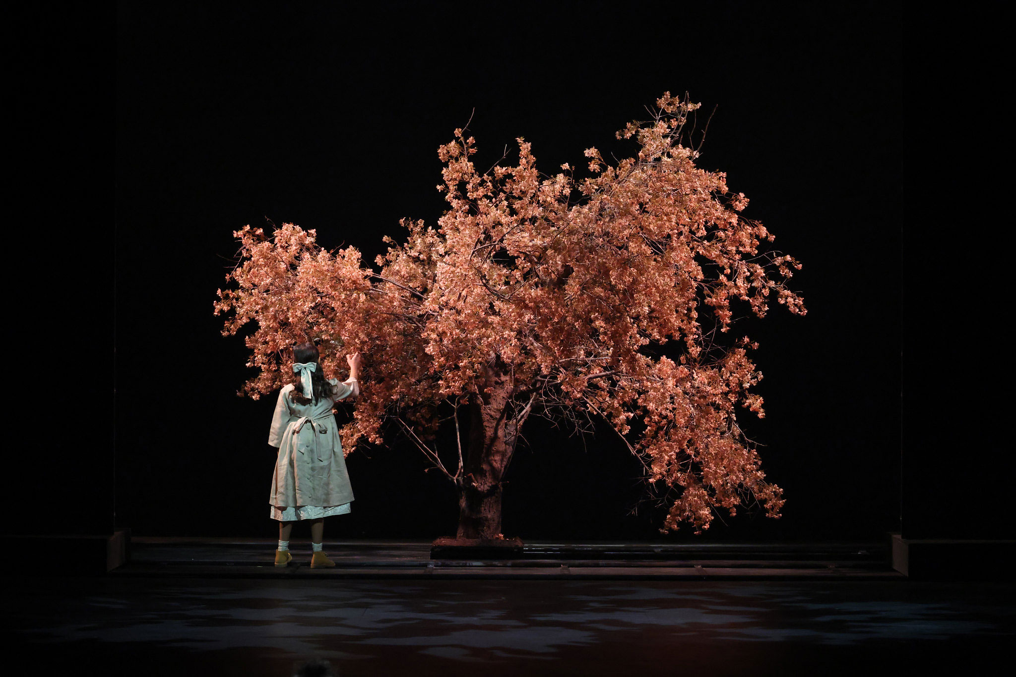 Cypriot artists — Cypriot Artists Showcase Talent at EU Council Presidency Opening