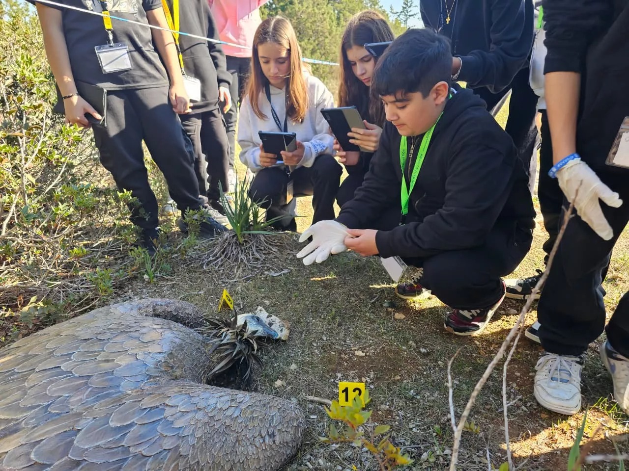 Students Investigate Griffon Vulture Wildlife Crime