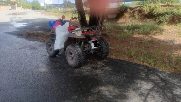 Women on Quad Bikes Target Farms for Produce Theft in Paphos