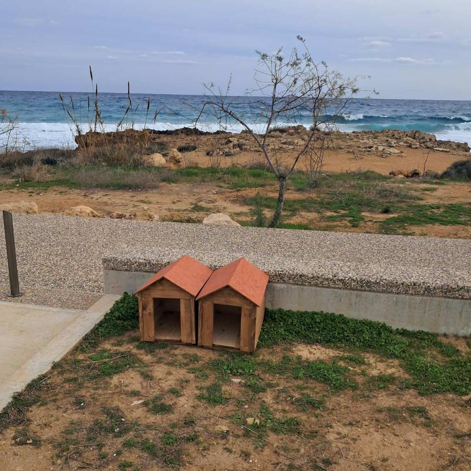 Kennels for Stray Cats Erected in Paralimni