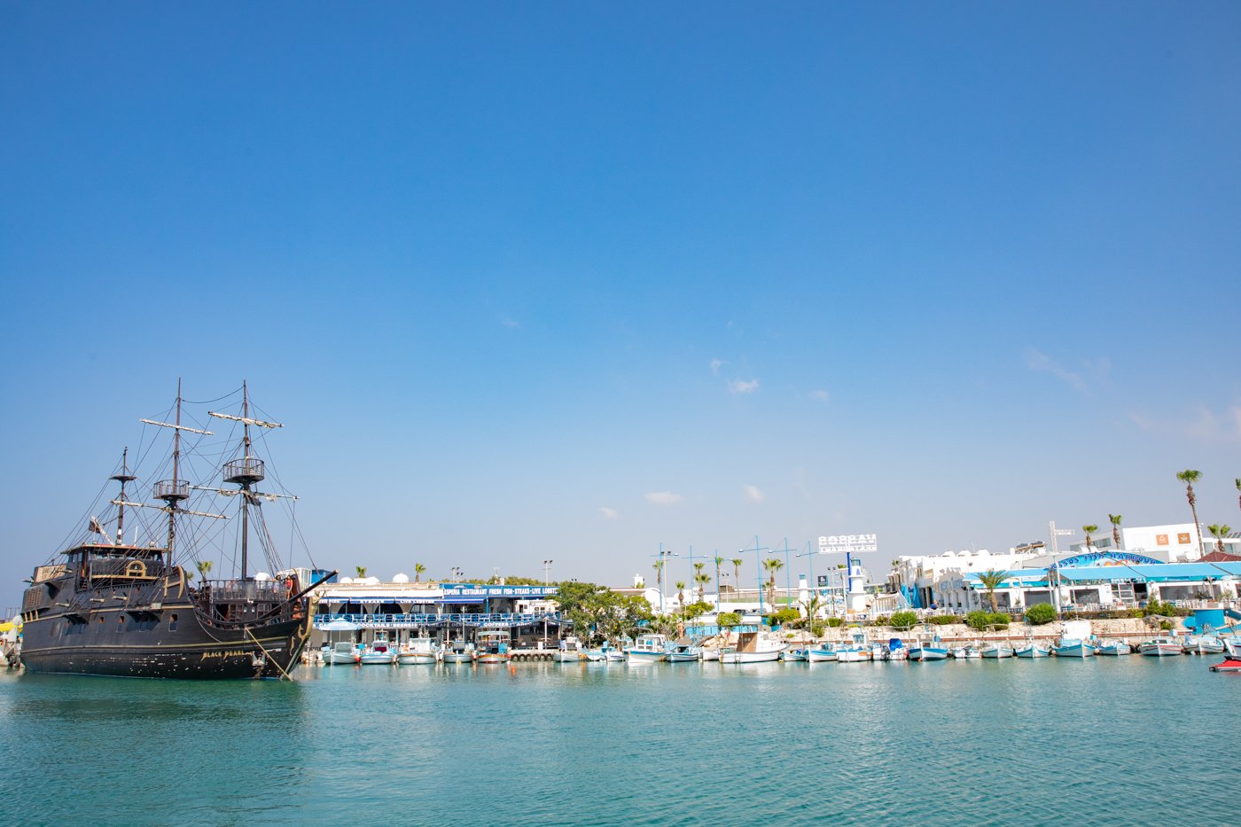 Forestry Department Plans Law Amendments for State Land Leasing